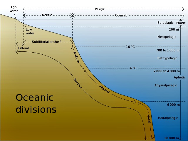 Oceanic_divisions