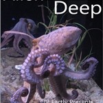 Octopus - Alien of the Deep!