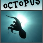 The Amazing Octopus!