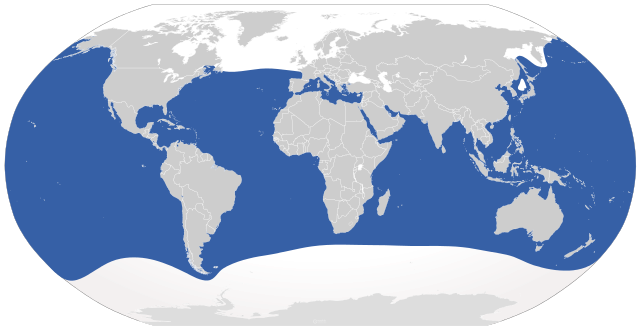 global_range_of_great_white_shark