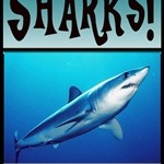 Shark Books for Kids