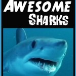 25 Most Awesome Sharks