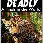 25 Most Deadly Animals in the World!