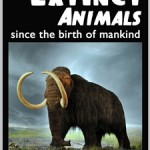 25 Extinct Animals... since the birth of mankind!