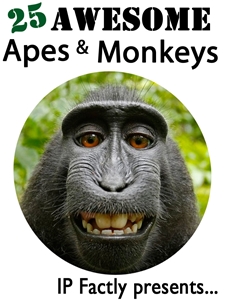 25 Awesome Apes and Monkeys! 