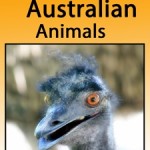 25 Awesome Australian Animals!