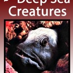 25 Deep Sea Creatures.