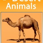25 Desert Animals