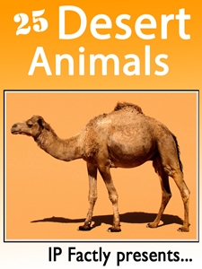 25 Desert Animals