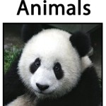 25 of the Worlds Most Endangered Animals