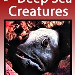 25 Deep Sea Creatures