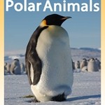 25 Polar Animals