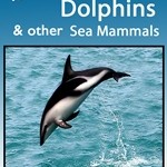 25 Whales, Dolphins and other Sea Mammals