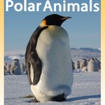 25 Polar Animals