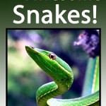 25 Awesome Snakes!