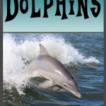 Early Reader Dolphin Book for Kids