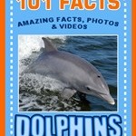 101 dolphin facts