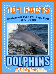 101 dolphin facts
