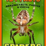 101 Facts... SPIDERS!