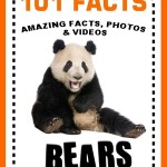 101 Facts... BEARS!