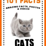 101 Cat Facts