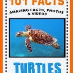 101 turtle facts