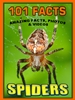 101 Spider Facts