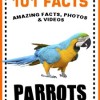 101 parrot facts for kids