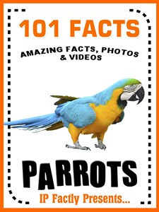 101 parrot facts 