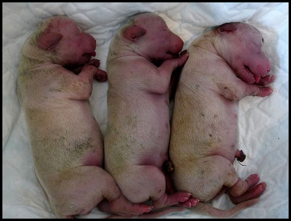 Image02 copy