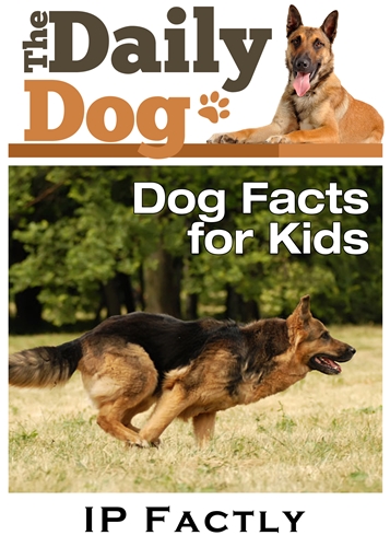 The Daily Dog - Facts