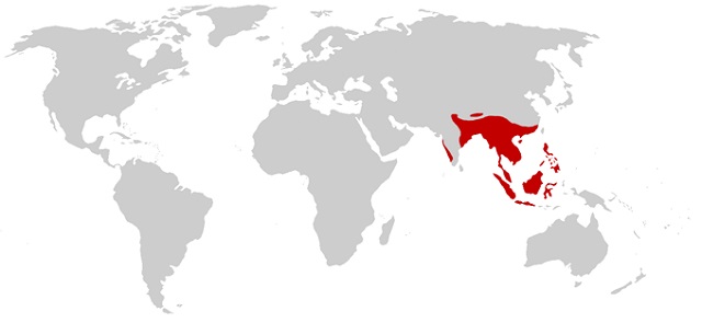 Map showing the distribution of the King Cobra