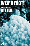 dead sea salts