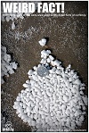 Salt