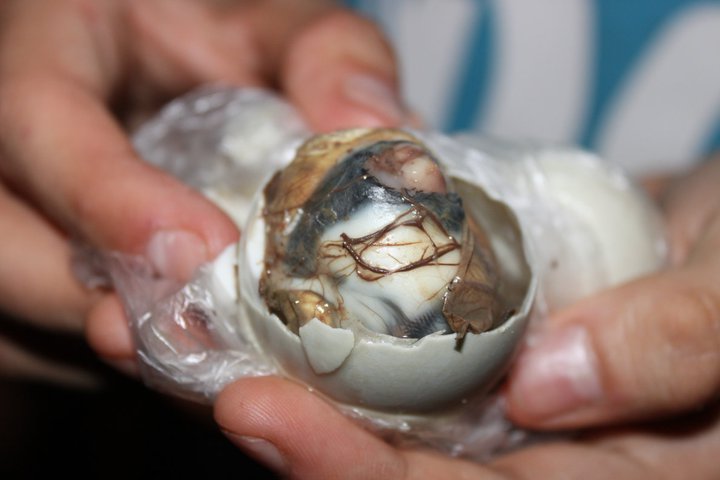 balut-food Fast Foul Food Facts