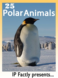 25 Polar Animals