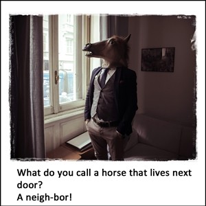 What do you call a horse that lives next door?